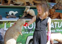 Familienwandertag 2024 In Jena 02